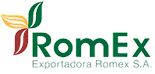 Romex logo